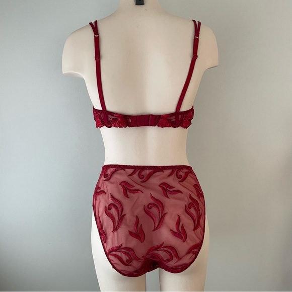 Lise Charmel Bra & Panty Matching Set French Luxury Mesh Red Size 38B - Picture 2 of 6